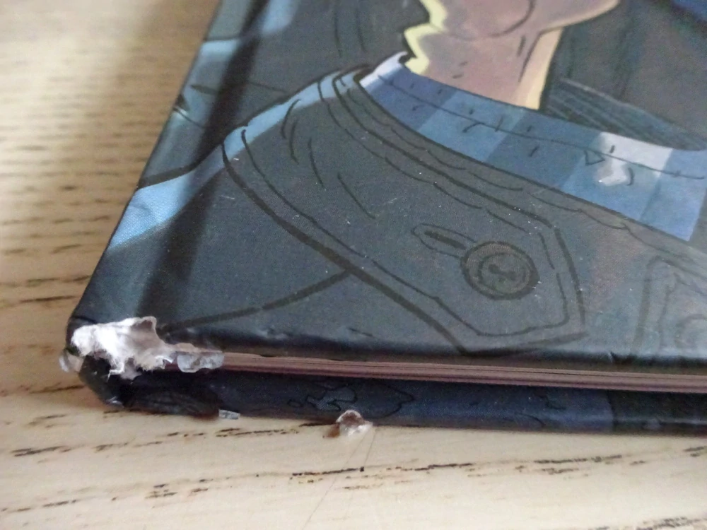 FOTOGRAF Z MAUTHAUSENU, SALVA RUBIO, KOMIKS VÁLKA, **an