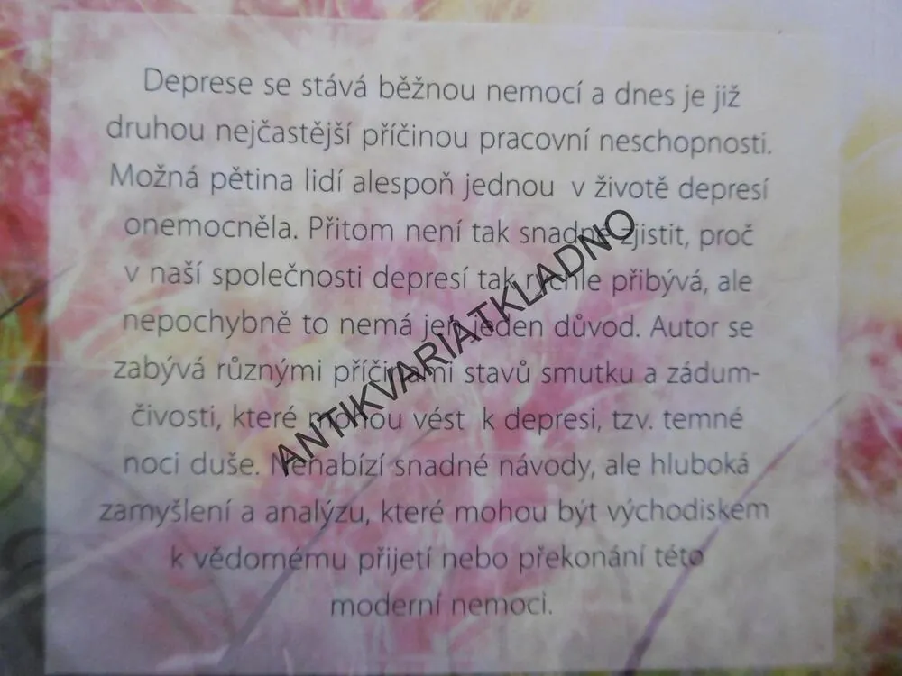 DEPRESE JAKO ŠANCE, SPIRITUÁLNÍ IMPULZY, ANSELM GRÜN