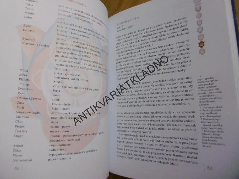 SKRYTÉ SÍLY V ČLOVĚKU, ČAKRY A KUNDALINI, 