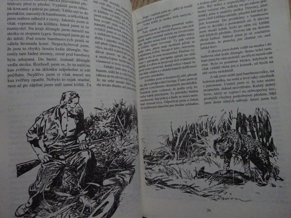 DOBRODRUŽSTVÍ V DŽUNGLI, ZANE GREY, BURIAN, **an