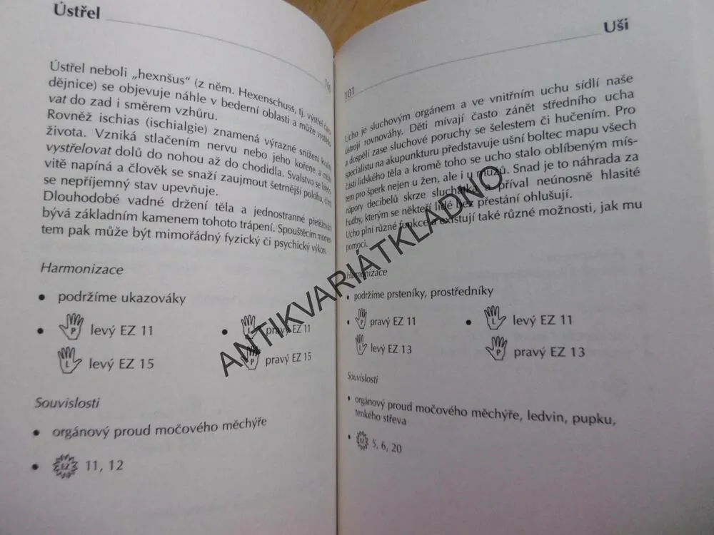LÉČIVÉ RUCE, SAMOLÉČBA POMOCÍ JAPONSKÉHO UMĚNÍ DŽIN ŠIN DŽUCU, WALDEKOVÁ