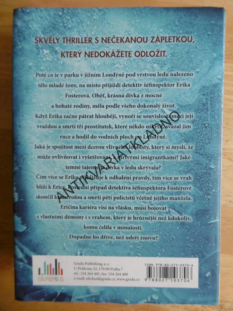 DÍVKA V LEDU, ROBERT BRYNDZA, **an