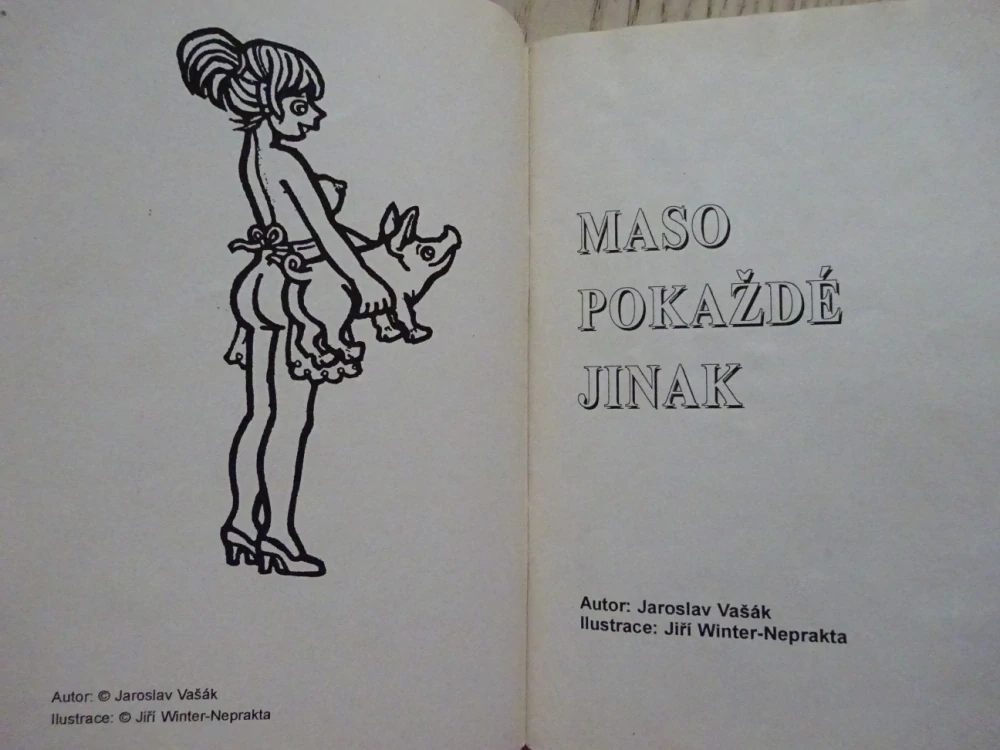 KUCHAŘKA NEJEN NA NEDĚLI, MASO POKAŽDÉ JINAK, **an