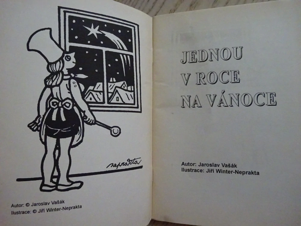 KUCHAŘKA NEJEN NA NEDĚLI, JEDNOU V ROCE NA VÁNOCE, **an