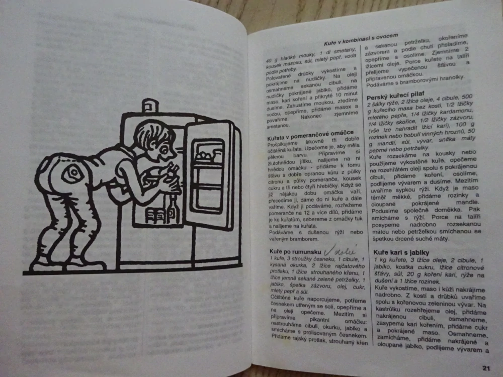 KUCHAŘKA NEJEN NA NEDĚLI, VAŘÍME, PEČEME, SMAŽÍME A PŘIPRAVUJEME KUŘE, **an