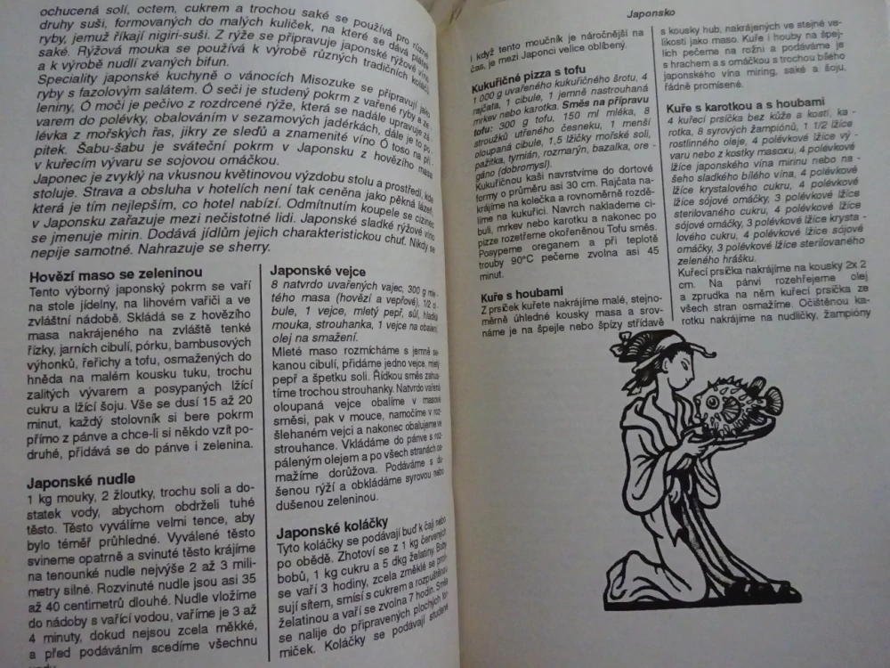 KUCHAŘKA NEJEN NA NEDĚLI, MINUTKY Z ČÍNSKÉ A ASIJSKÉ KUCHYNĚ, **an