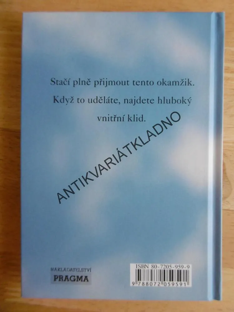 MOC PŘÍTOMNÉHO OKAMŽIKU, PRACOVNÍ KNIHA, ECKHART TOLLE, **an