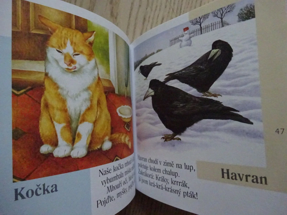 KAMARÁDI ZVÍŘÁTKA, JIŘÍ ŽÁČEK, **an