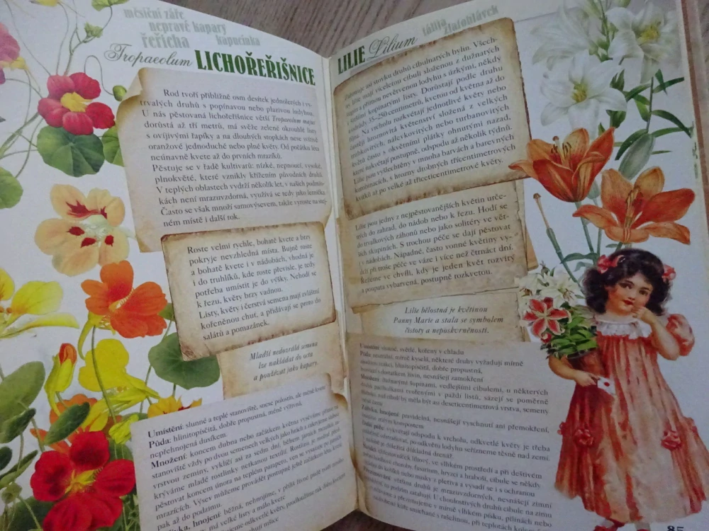 OKOUZLUJÍCÍ ZAHRADY, KLÁRA TRNKOVÁ, **an