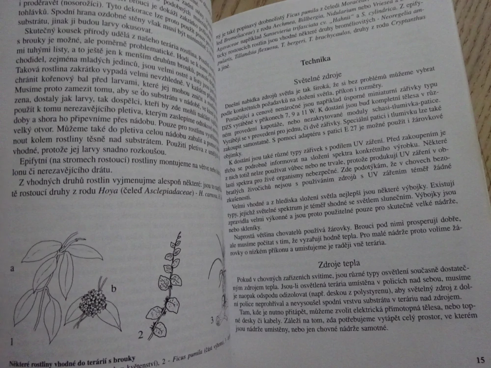 ŽIVÉ DRAHOKAMY V TERÁRIÍCH, PETR ČUŘÍK, **an