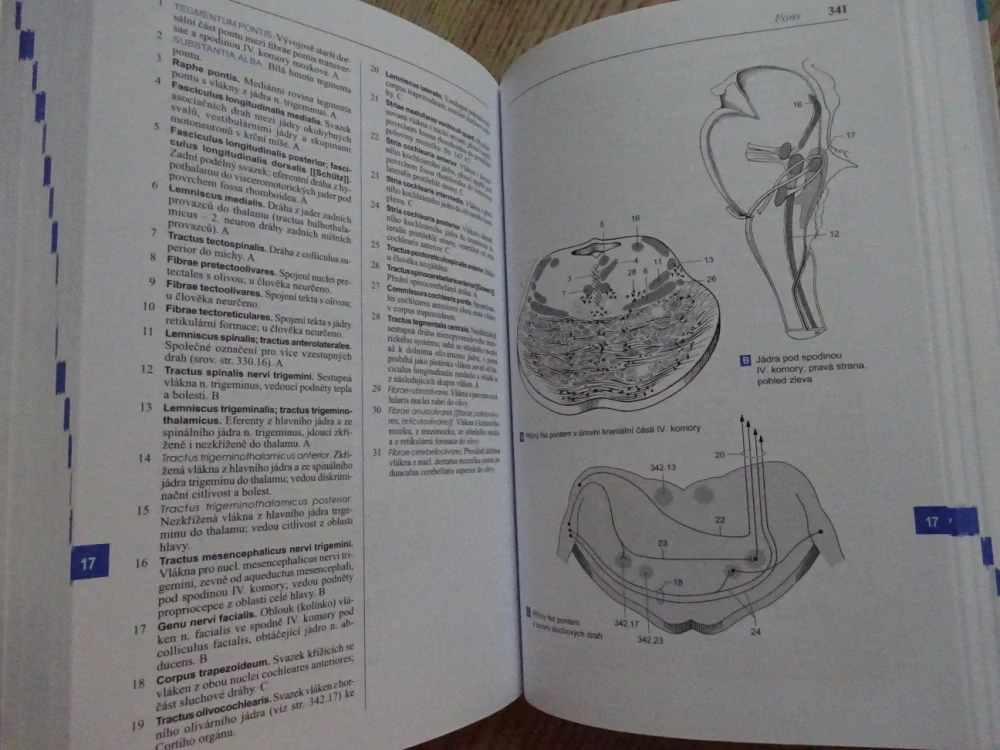 FENEISŮV OBRAZOVÝ SLOVNÍK ANATOMIE, WOLFGANG DAUBER, **an