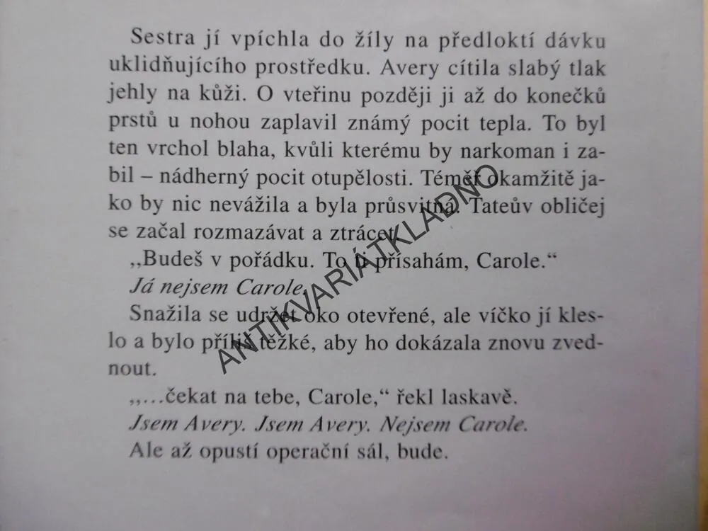 NEBEZPEČNÁ PODOBA, SANDRA BROWN