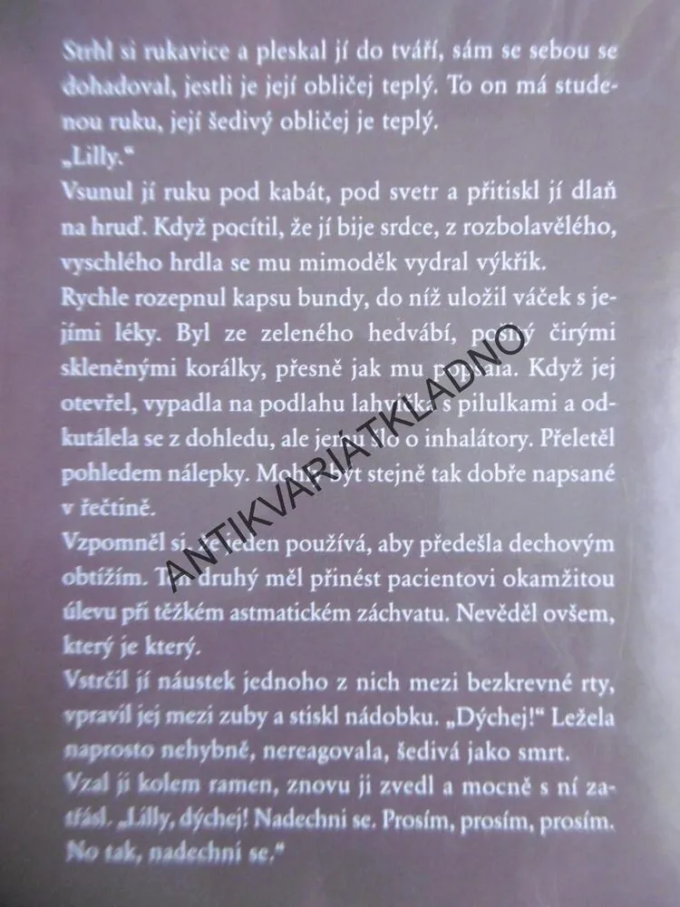 MRAZIVÝ CHLAD, SANDRA BROWN, **an