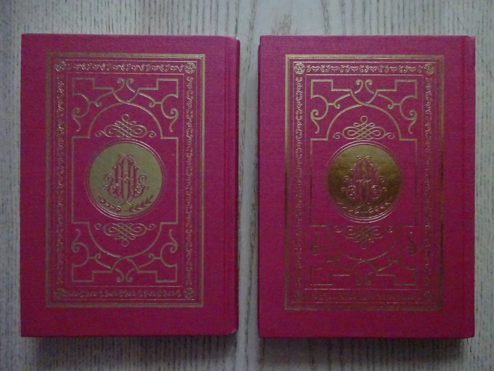 BRATŘI KIPOVÉ, SVAZEK 1-2, JULES VERNE, **an