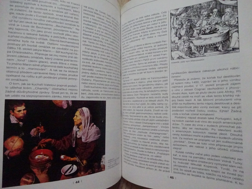 GASTRONOMICKÉ ZÁHADY ANEB POHLEDY DO HISTORIE KUCHAŘSKÉHO UMĚNÍ, **an