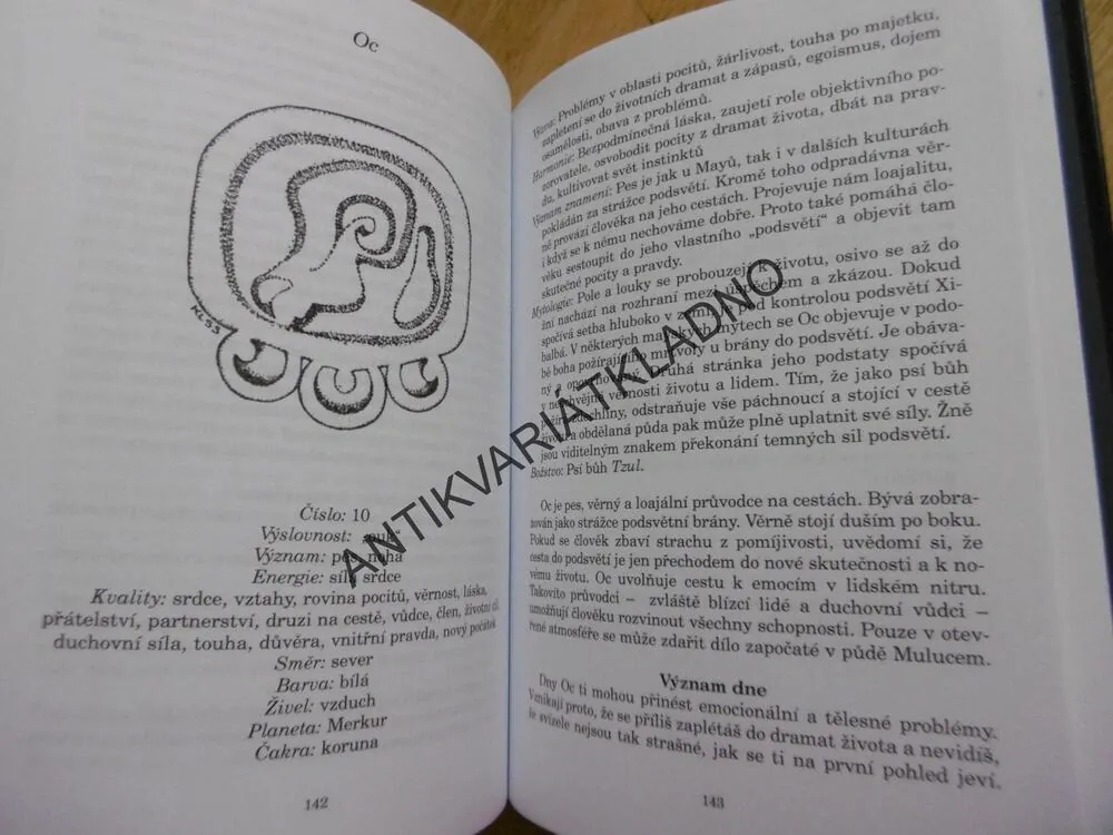PROROCTVÍ MAYŮ, MAGDA WIMMER, **an