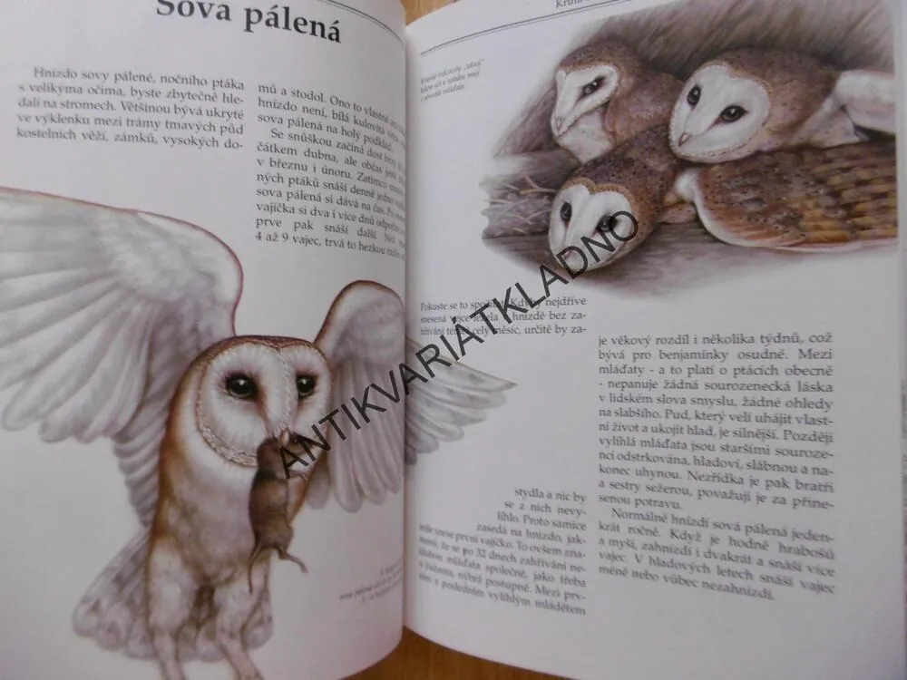 MLÁĎATA V PŘÍRODĚ, PTÁCI, SAVCI Z NAŠICH LESŮ,POLÍ A VOD, BOUCHNER