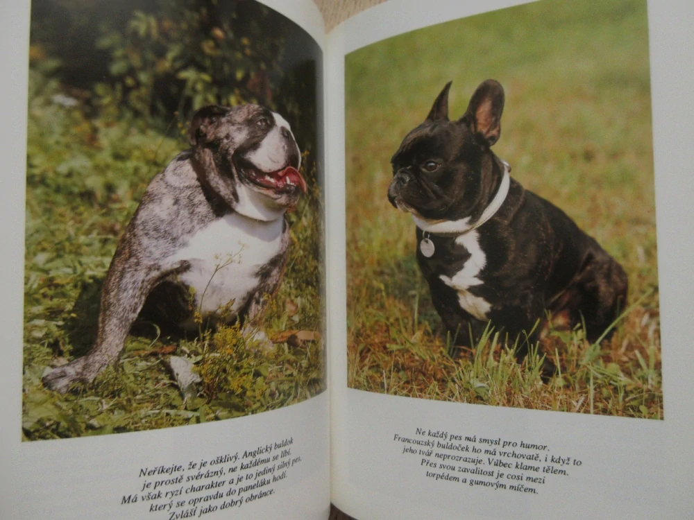 PEJSEK DO PANELÁKU, HELENA KHOLOVÁ, **an