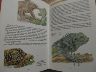 PLAZI A OBOJŽIVELNÍCI, J. ČIHAŘ, A. ČEPICKÁ, **an