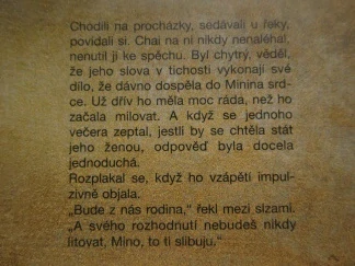 OKO LUNY, BRIGITTE RIEBEOVÁ, **an