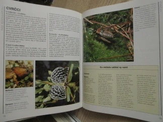 SVĚT HMYZU, RICK IMES,**an