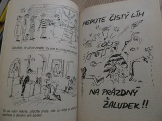 ZATRACENÁ SLEPICE, IVAN KŘEMEČEK, **an