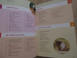 MORČE, IMMANUEL BIRMELIN, **an