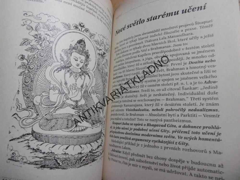 CESTA POZNÁNÍ, ŽIVOT A UČENÍ, ŠRI GOVINDANANDA BHARATI, ŠIVAPURI BABA,