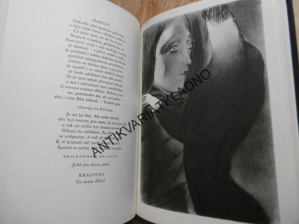 HAMLET, PRINC DÁNSKÝ, WILLIAM SHAKESPEARE