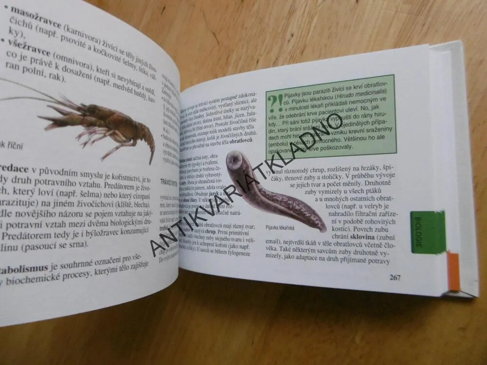 OKO - NOVÝ ROZUM DO KAPSY, VĚDA A PŘÍRODA, **an