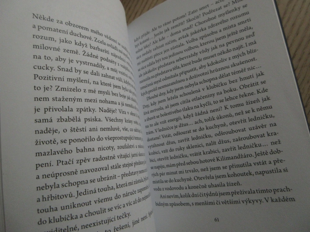 (NE)VĚŘTE DEPRESI, LADISLAVA DOUBRAVOVÁ, **an