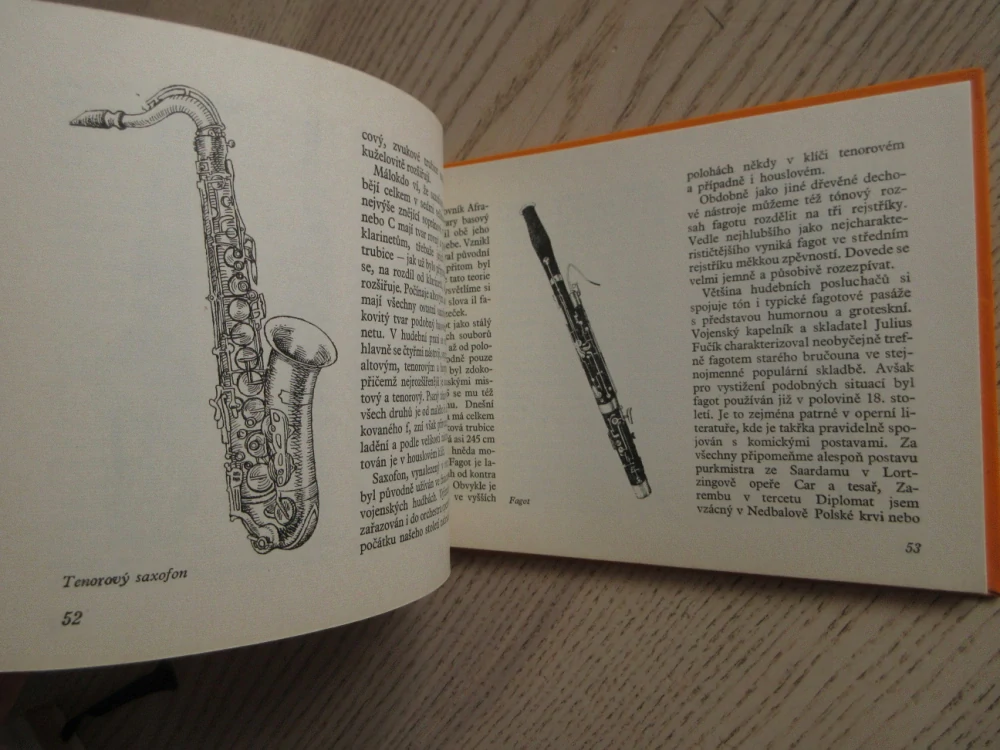 UMĚT JE ROZEZNÍT, RATIBOR BUDIŠ, **an