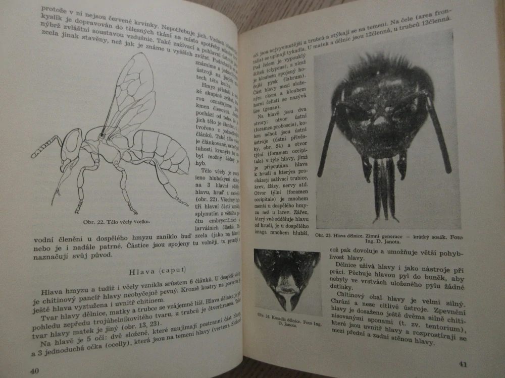 VČELAŘSTVÍ, B. TOMŠÍK, E. LISÝ, J. SVOBODA, J. HEJTMÁNEK, **an