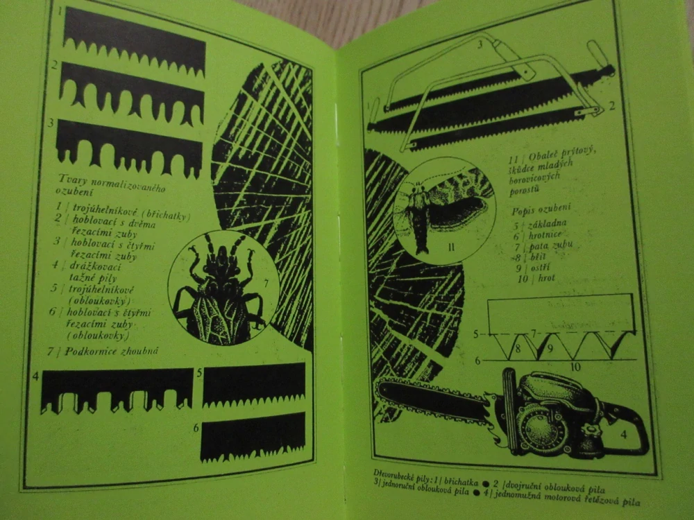 HUBERTOVA BRÁNA, VÁCLAV HORYNA, **an