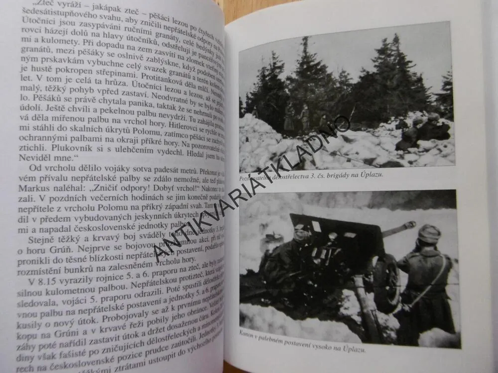 OSVOBOZENÍ ČESKOSLOVENSKA, BEZ CENZURY A LEGEND, DOBÝVÁNÍ DOMOVA, RICHTER, 2.