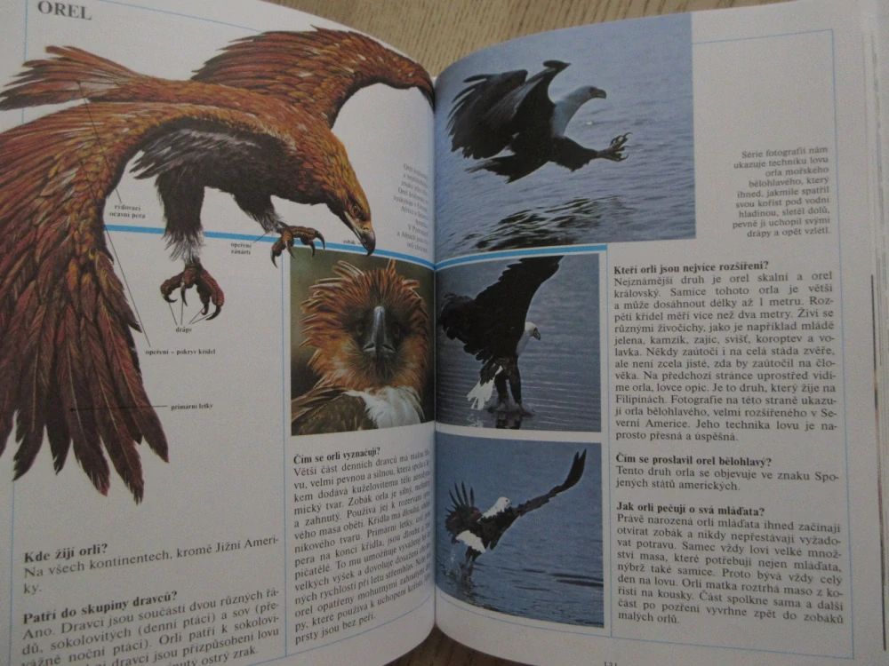 1000 OTÁZEK ZE ŽIVOTA ZVÍŘAT, **an