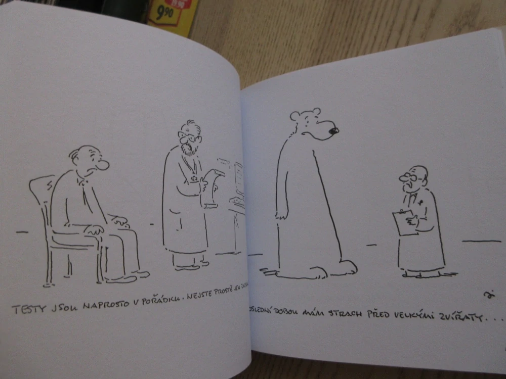 VÁŠ PSYCHOANALYTIK JE VÁŠ PŘÍTEL, KNÍŽKA PRO BLÁŽNY, VLADIMÍR JIRÁNEK, **an