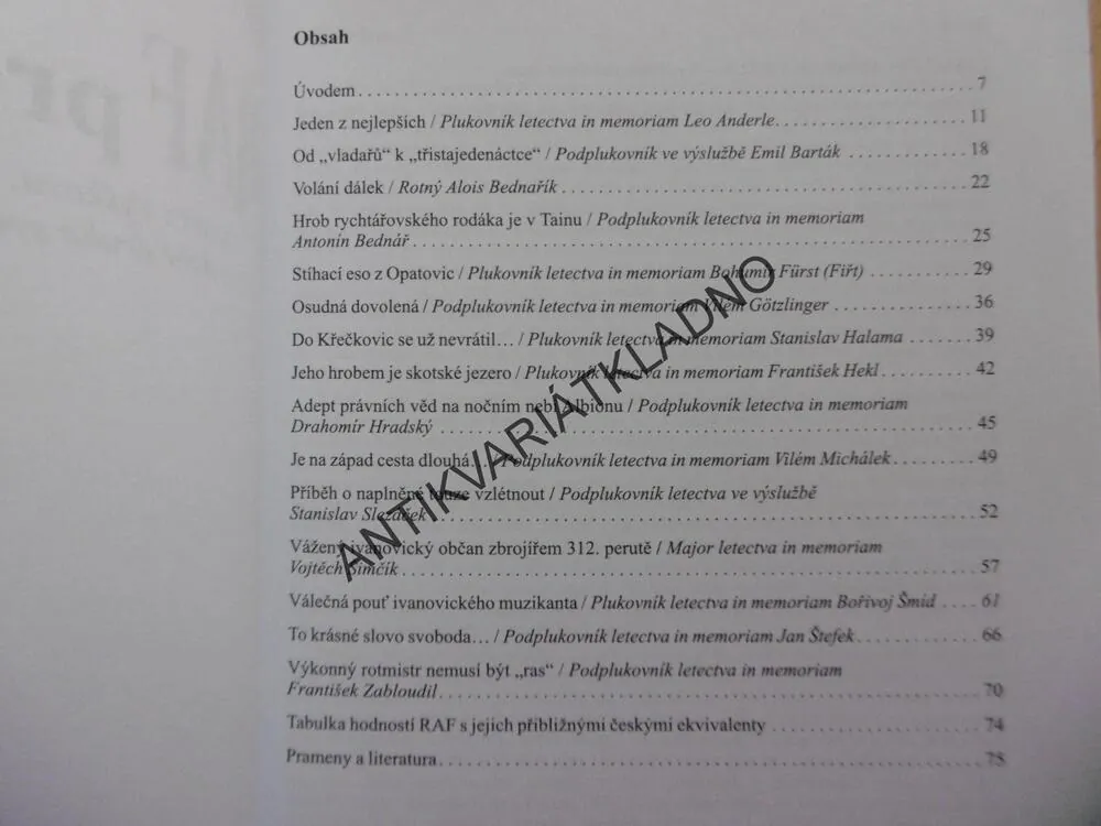 S RAF PROTI HITLEROVI, MIKULKA,