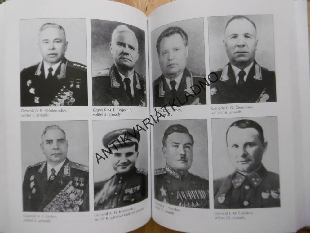 SRPNOVÁ BOUŘE, SOVĚTSKÁ STRATEGICKÁ OFENSIVA