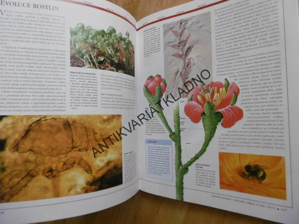 PREHISTORICKÝ ATLAS ,VÝVOJ PLANETY ZEMĚ, DOUGLAS PALMER, **an