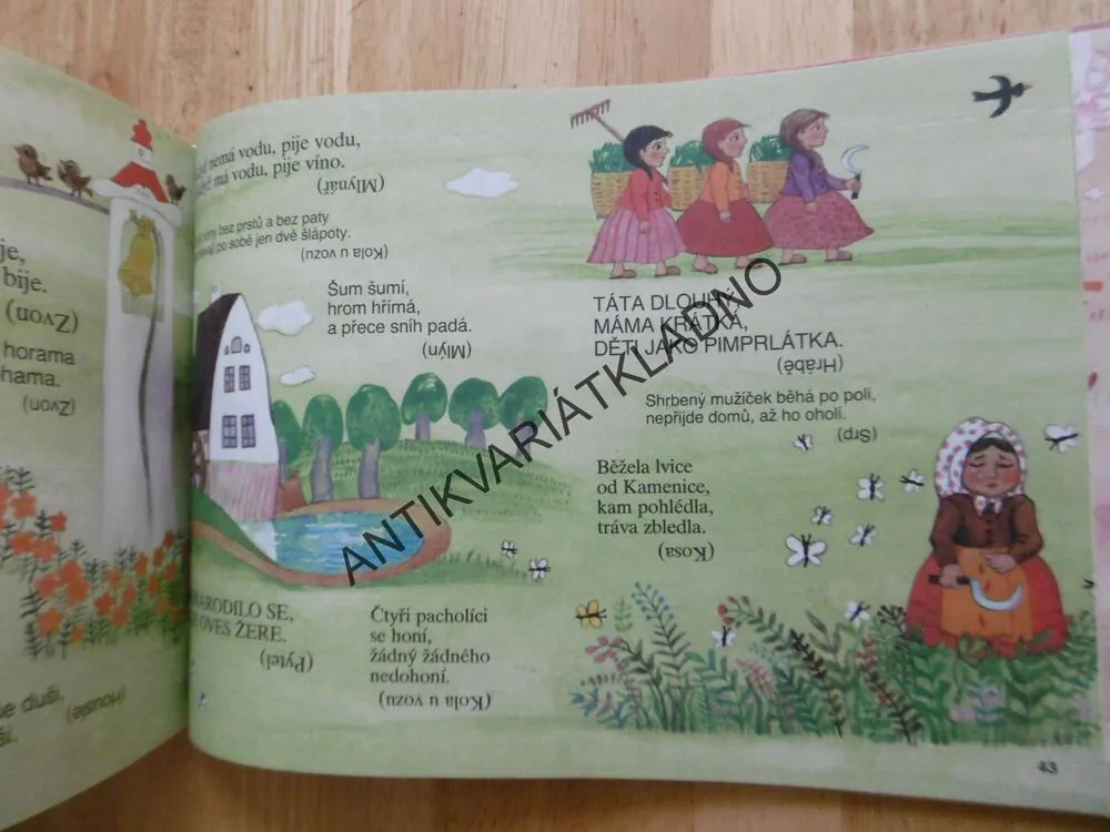 CO JE TO? KNÍŽKA HÁDANEK, MOTLOVÁ, PTÁČKOVÁ