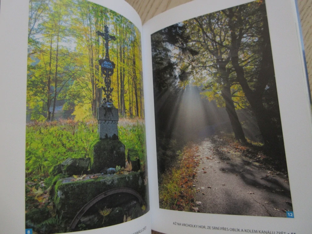 ZMIZELÁ ŠUMAVA S EMILEM PĚŠKY, EMIL KINTZ, JAN FISCHER, **an
