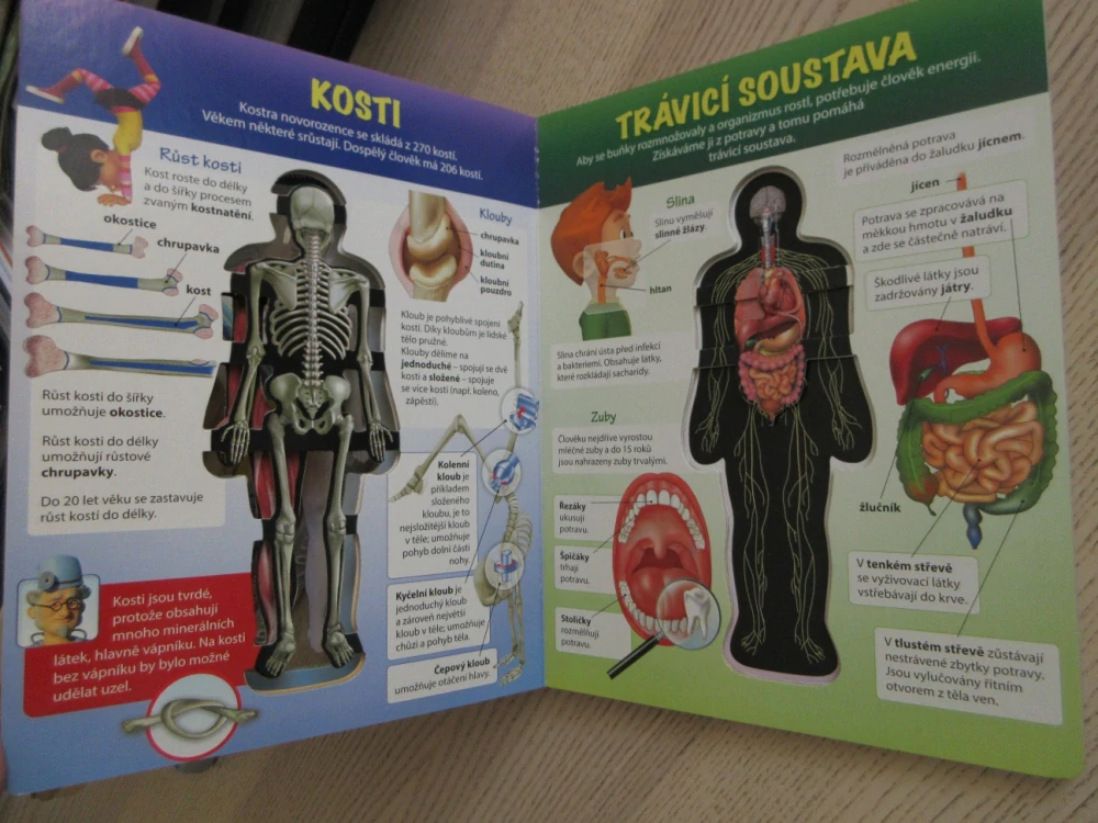 NAŠE TĚLO - JAK FUNGUJE NAŠE TĚLO?, SVJATOSLAV BULACKIJ, **an