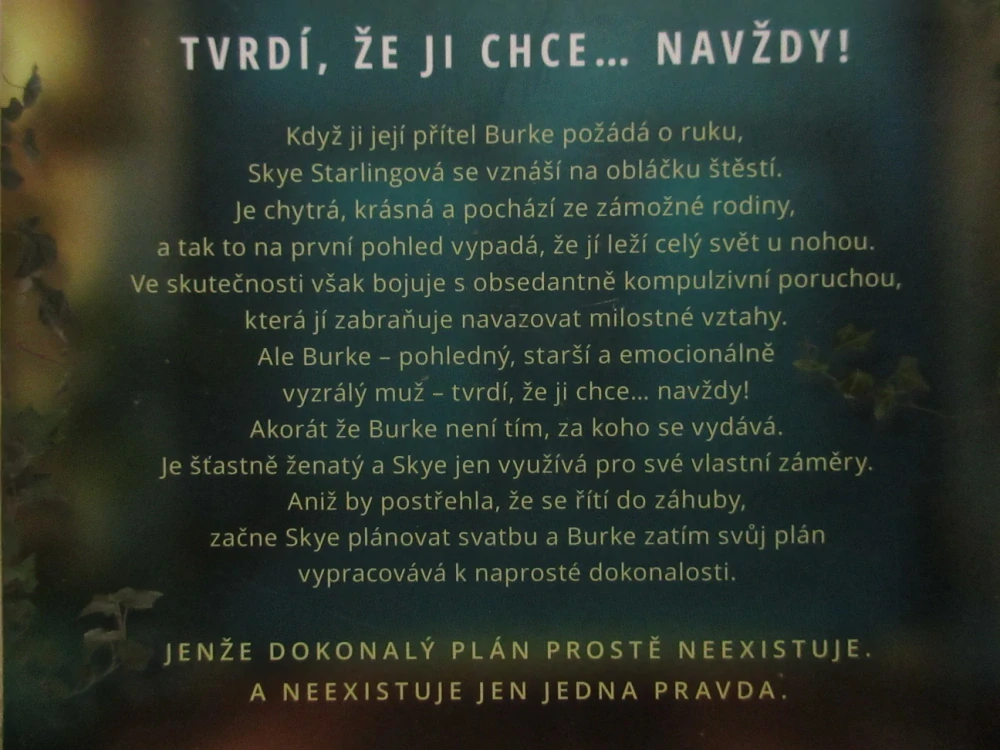 TŘETÍ POLOVIČKA, CAROLA LOOVERINGOVÁ, **an