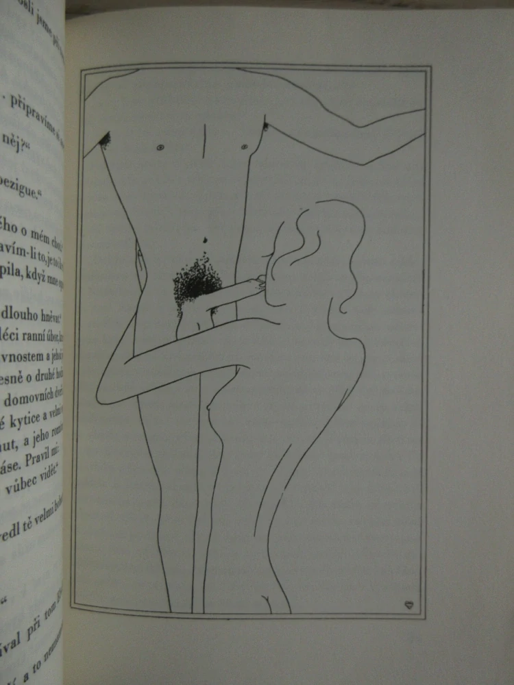 PŘÍBĚHY PAŘÍŽSKÉ KOKOTY, ASI GUY DE MAUPASSANT, **an