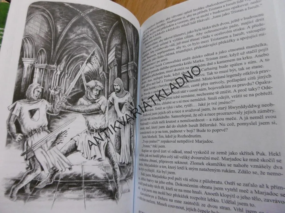 MAGICKÉ STŘÍPKY, ANDRZEJ SAPKOWSKI