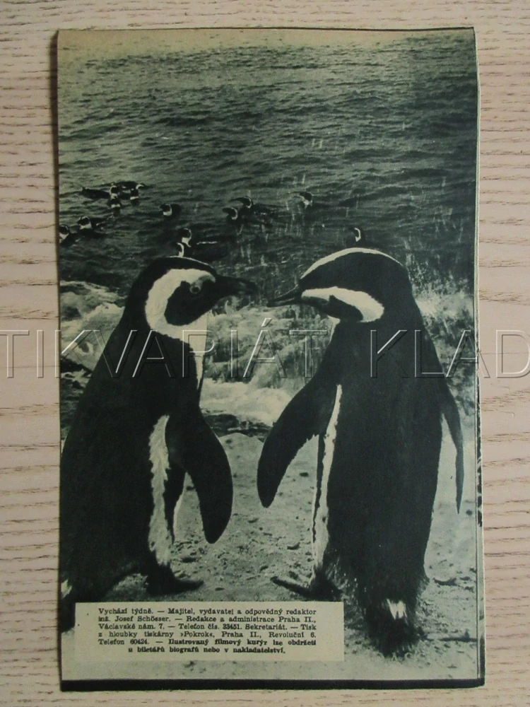DASAN, OSTROV 5 MILIONŮ TUČŇÁKŮ, CH. KEARTON, BIO PROGRAM ZŠ Č. 85, 1932