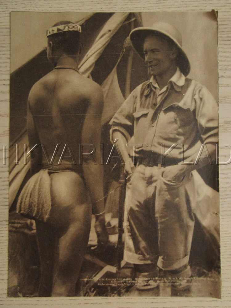 DIE ERWACHENDE SPHINX, C. ROSS, FILM KURIER