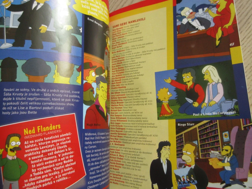 SIMPSONOVI, ZE ŽIVOTA NEJŽLUTĚJŠÍ RODINY SVĚTA, **an