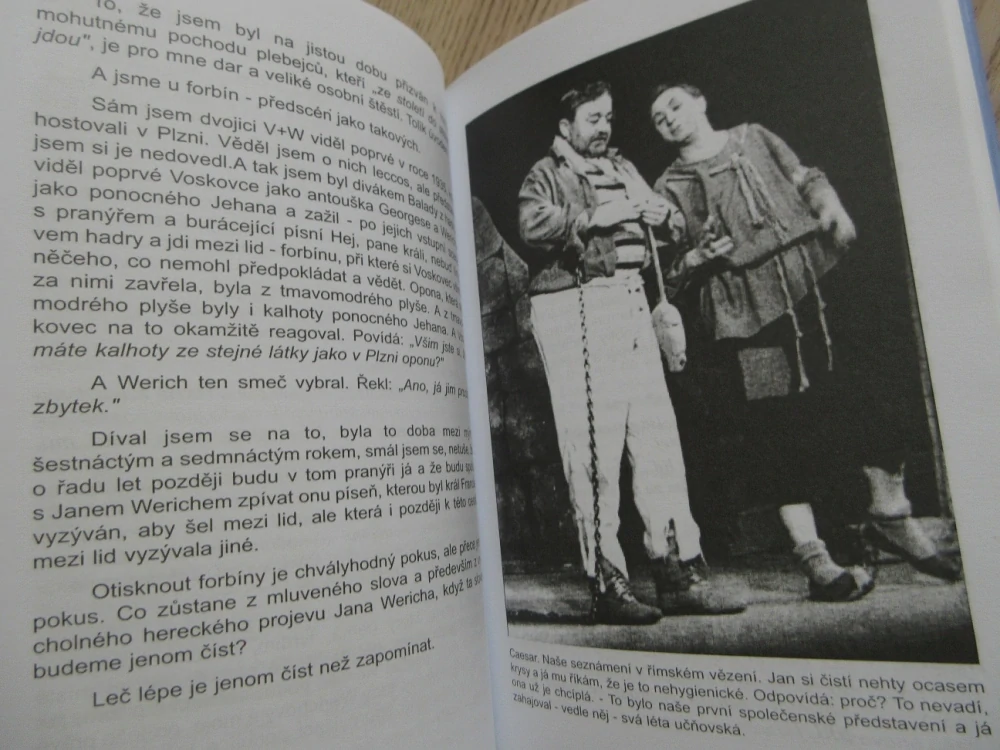 HOVORY S JANEM WERICHEM, MIROSLAV HORNÍČEK, **an
